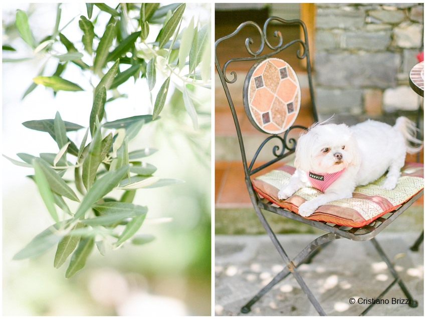 wedding in monterosso al mare, cinque terre, italian riviera.